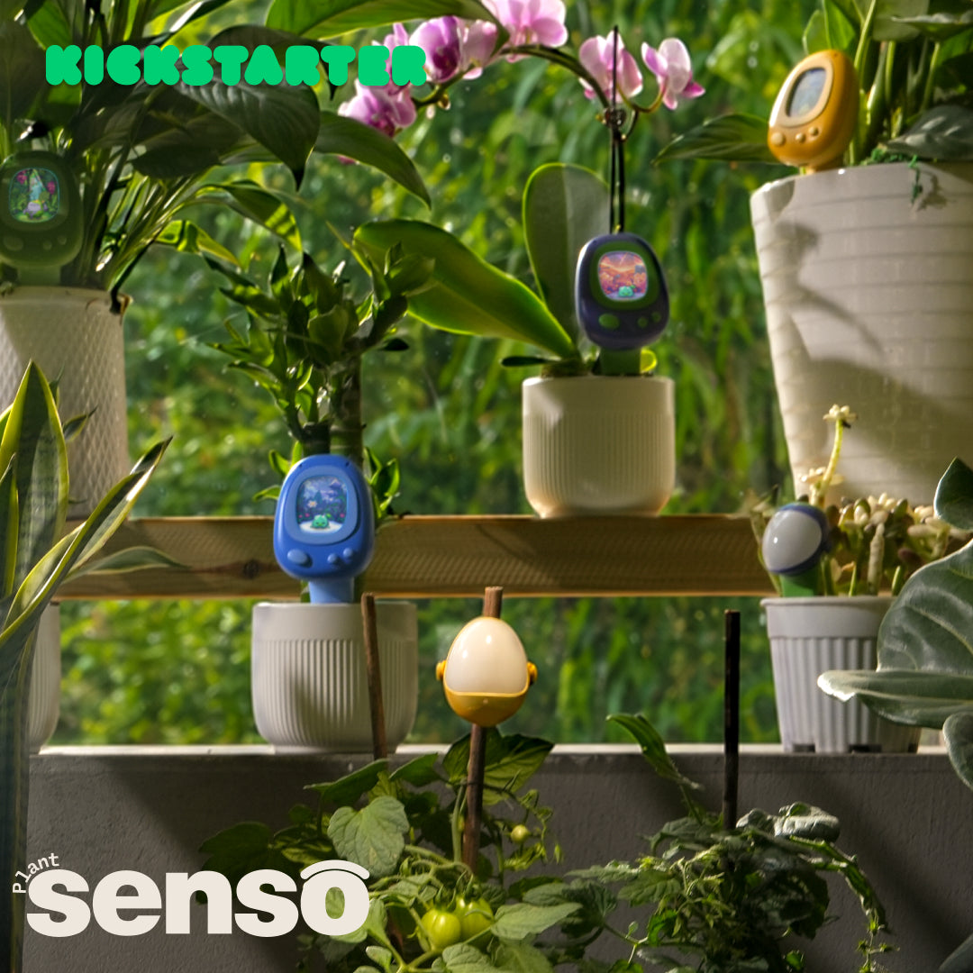 Senso — AI Smart & Gamified Plant Sensor