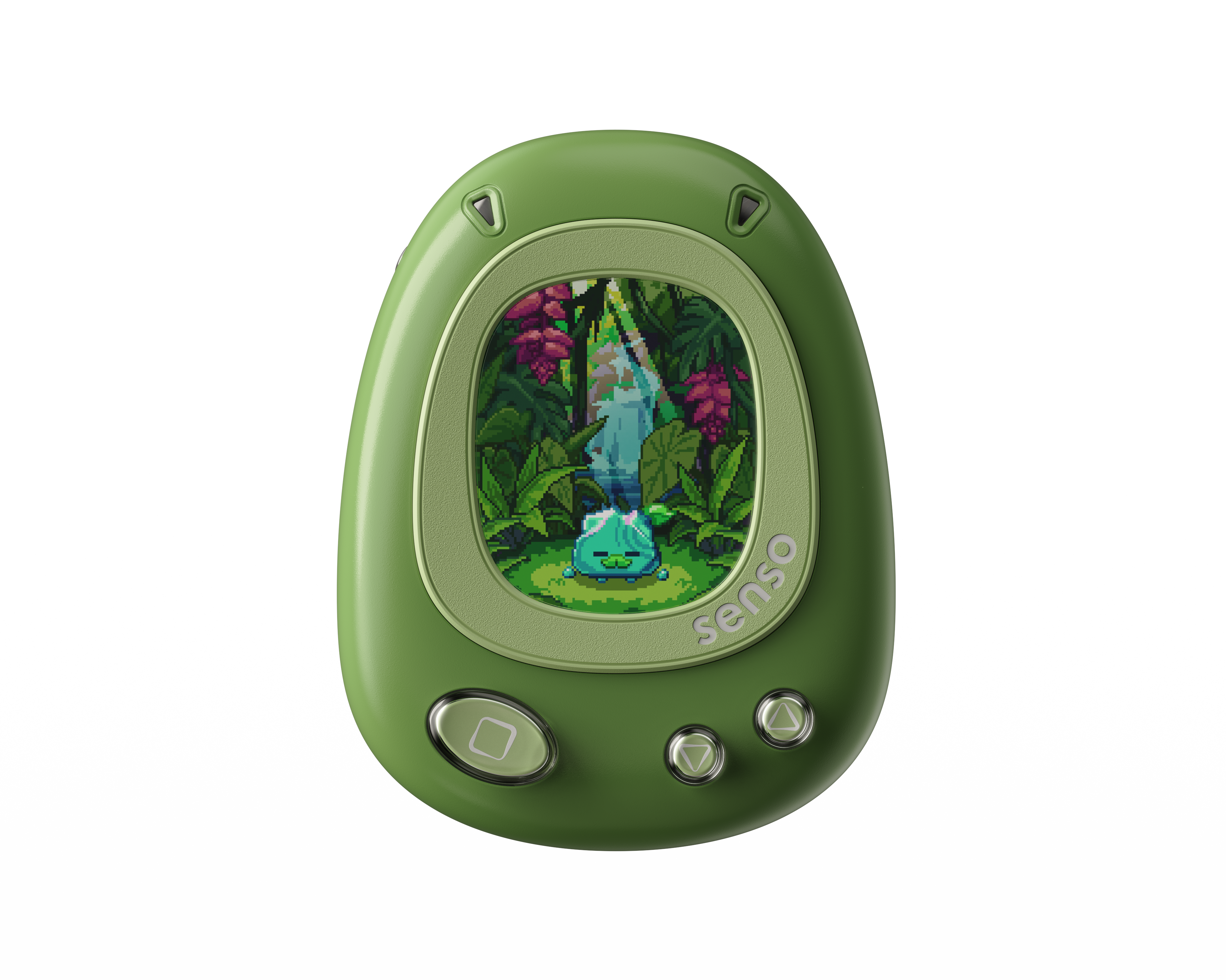 Meet Your Plant Buddy
