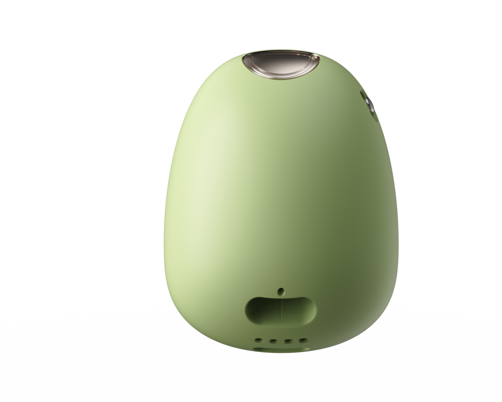 Meet Your Plant Buddy