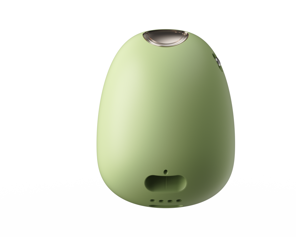 Meet Your Plant Buddy