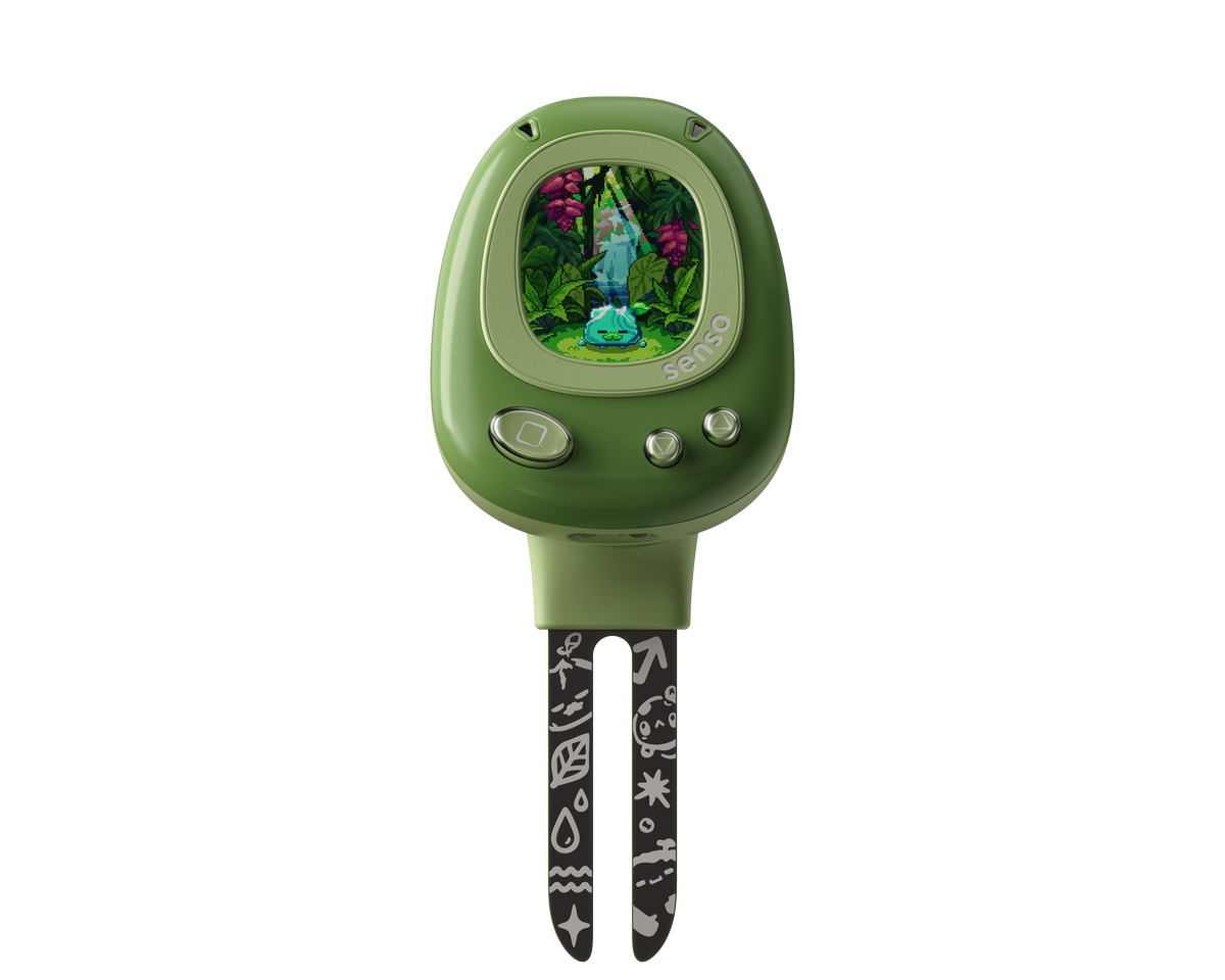 Meet Your Plant Buddy