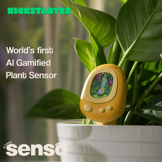 Senso — AI Smart & Gamified Plant Sensor