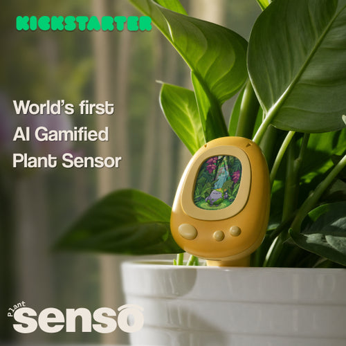 Senso — AI Smart & Gamified Plant Sensor