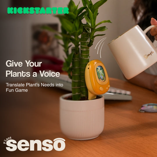 Senso — AI Smart & Gamified Plant Sensor