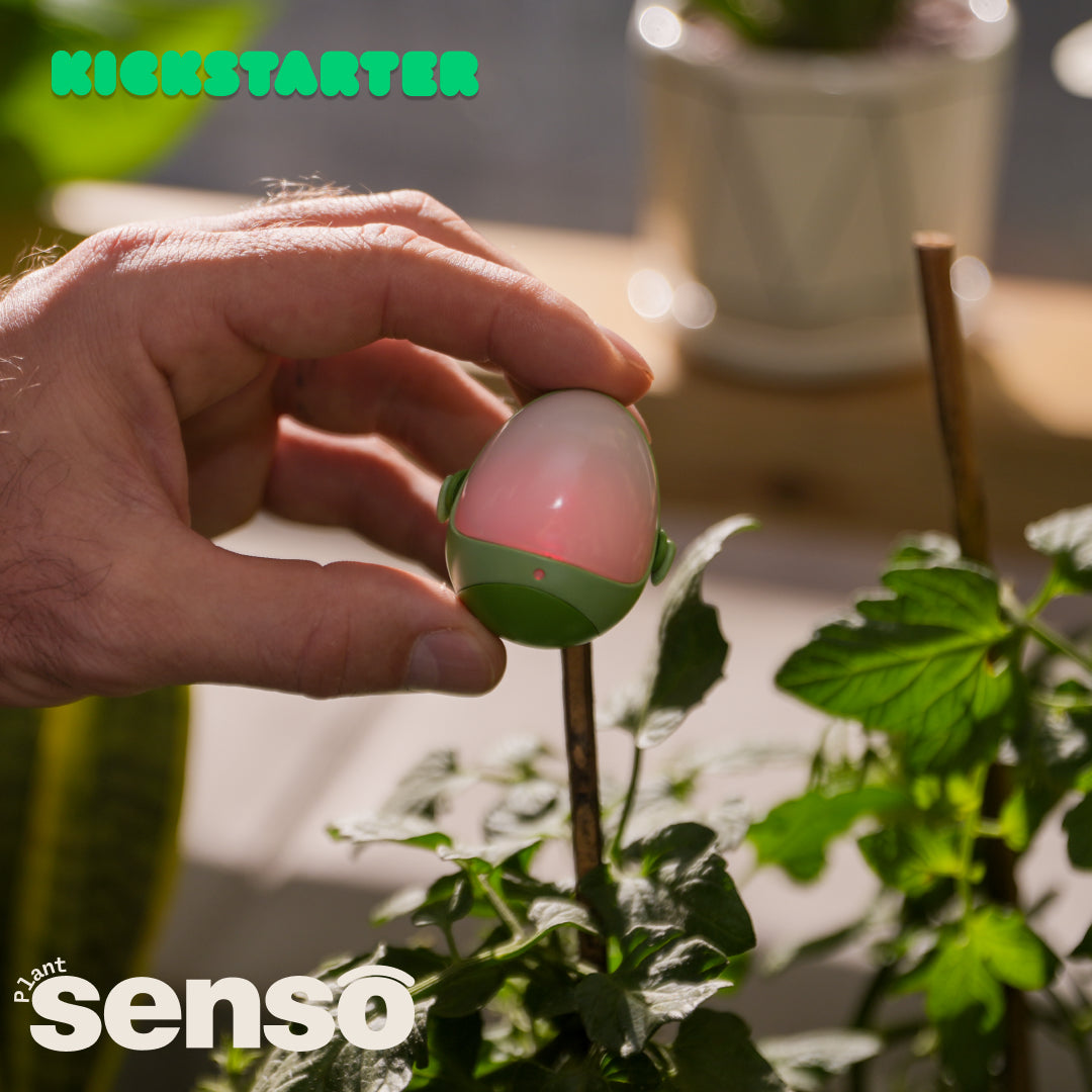 Senso — AI Smart & Gamified Plant Sensor