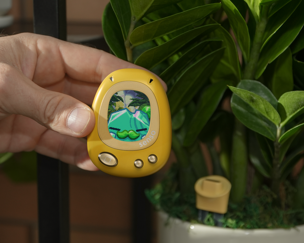 Meet Your Plant Buddy