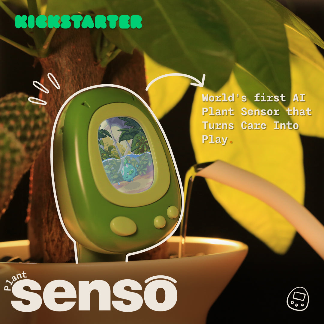 Senso — AI Smart & Gamified Plant Sensor